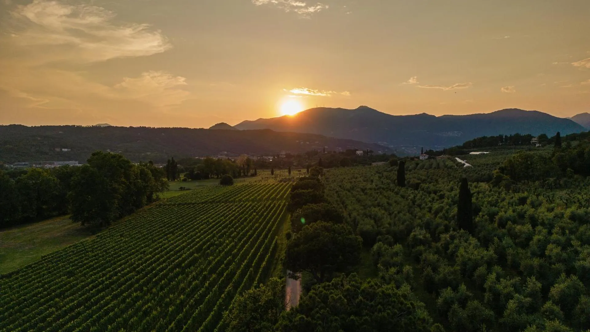 Casa vacanze Poderi La Rocchetta Luxury Villa On The Hills Of Lake Garda San Felice del Benaco
